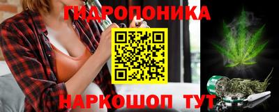 мяу мяу мука Лесосибирск