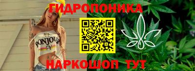 мяу мяу мука Лесосибирск