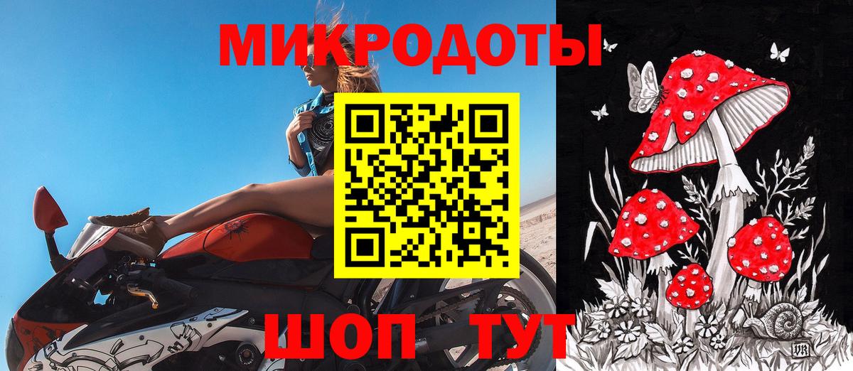 Галлюциногенные грибы Psilocybine cubensis  Вход с VPN  Губаха 