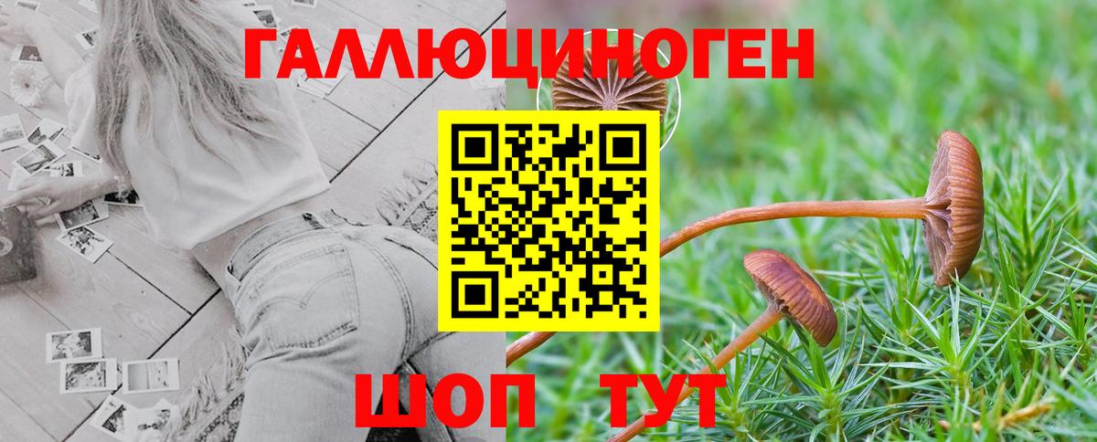 Галлюциногенные грибы Cubensis Губаха